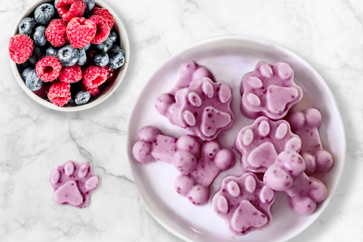 Helado Refrescante de Chía y Fruta